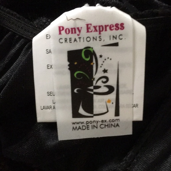 New Womens Victorian Vampire Halloween Costume size Small/Medium Fit size 6-8 - Picture 11 of 12